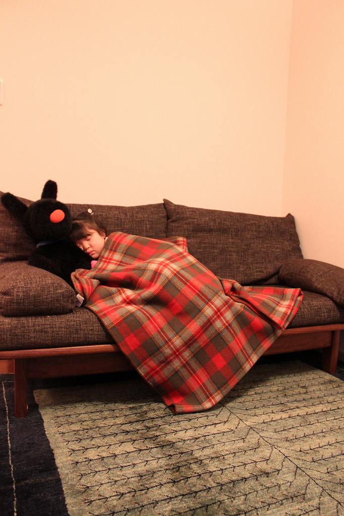 ギャッベと暮らす~ゾランヴァリギャッベ新作展2019~ | マルカ木工