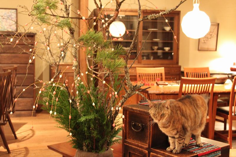 お雛様気分 | 木の家具　マルカ　今年もよろしく | マルカ日記 | マルカ木工